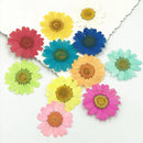 DIY Epoxy Resin 12Pcs Natural Flower Pressed Dried Nail Craft Phone Decoration