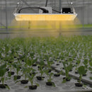 220W LED Grow Light Growing Lamp Commercial Indoor Plant Full Spectrum For Greenhouse Flower Plants Veg Dimmable