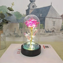 Valentines Day Gift for Girlfriend Eternal Rose LED Light Foil Flower In Glass Cover Mothers Day Wedding favors Bridesmaid Gift