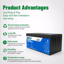 The Grid Sentinel | 12V-24V LiFePO4 Deep-Cycle Battery (100Ah-300Ah, Built-in BMS)