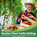 9股花园植物攀爬网，适用于花卉、番茄、水果、蔬菜、葡萄，聚酯格架网，0.9米/1.8米/2.7米/3.6米X1.8米