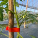 ALLSOME 捆绑机 植物园 嫁接工具 绑枝机 +10 卷胶带套装，适用于蔬菜、葡萄、番茄、黄瓜、辣椒、花卉