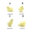 Simulation Chick Decor Plush Chicken Model Figurine Cute Oranment Realistic Furry Animal Doll Chicken Easter Gift Kids