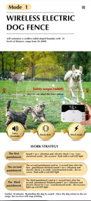 The Invisible Boundary | 2-in-1 Wireless Pet Fence & Training Collar