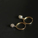 925 Silver Needle Crystal Zircon Golden Round Earrings Geometric Flower Rhinestones Hoop Classic Earrings Jewelry Party Gifts
