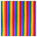 Colorful Rainbow Pocket Square Scarf Bandana Headband Wristband Neck Tie for Gay Lesbian Pride Festival Parade Trendy Style