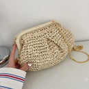 Straw Dumpling Clutch Bag Woven Straw Tote Clutch Purse For Women Summer Beach Bag Wicker Clutch Straw Purses For Women