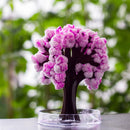 Mini Magic Sakura Miniature Tree DIY Crystal Growing Paper Plantas Miniatura Ornaments Decor Novelty Boy Girls Gift Science Toys