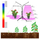 The Sunforge | Full-Spectrum USB LED Grow Light for Indoor Plants