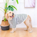 Summer Big Dog Clothing Large Dog T-shirt Welsh Corgi Samoyed Husky Labrador Golden Retriever Dobermann Dog Clothes Tee Shirt