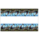 New Jurassic Dinosaur Theme Disposable Tableware Cup Plates Children's Birthday Party Dinosaur Latex Balloon Banner Decoration