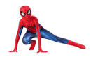 Hot-selling Superhero Zentai Cosplay Suit Full Body Theme Outfit Halloween Party Costume Collectible Holiday Gift for Cos Fan