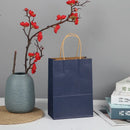 The Brown Standard | Premium Kraft Gift Bags with Handles (10-Pack)