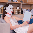 The 'Lumina' 3D Flexible LED Therapy Mask