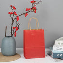 The Brown Standard | Premium Kraft Gift Bags with Handles (10-Pack)