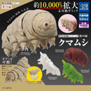 日本原版可爱扭蛋手办动漫水熊虫公仔缓步动物萌趣胶囊玩具微缩摆件礼物