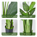 Artificial Bird of Paradise Plant 180cm with 11 Silk Banana Leaves Faux Plant Indoor Decor Trees with White Pot for Home