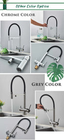 The Dual Stream | 2-in-1 Filtered Pull-Down Kitchen Faucet