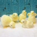 Simulation Chick Decor Plush Chicken Model Figurine Cute Oranment Realistic Furry Animal Doll Chicken Easter Gift Kids