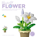 Potted Building Blocks Simulate Succulent Flower Bouquets, Creative Puzzle Block Toys, Eternal Flowers, Home Decoration