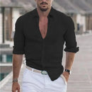 New Men's Shirt Cotton linen Casual Polo Neck Beach Shirt Long Sleeve Solid Hawaiian Holiday Shirts Streetwear