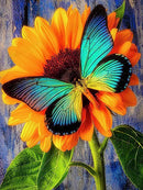 HUACAN 5d Diamond Painting New Arrivals Animal Diamond Embroidery Cross Stitch Butterfly Rhinestones Full Mosaic Home Decor