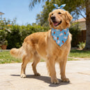 The Orchard | Fruit-Floral Adjustable Dog Bandana for Small, Medium & Large Breeds
