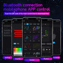 For Tesla Model 3 Y S X 2in1 Interior LED Ambient Lights USB APP Control Remote Universal Acrylic Symphony RGB Atmosphere Lamp