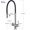 The Dual Stream | 2-in-1 Filtered Pull-Down Kitchen Faucet