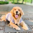 Summer Big Dog Clothing Large Dog T-shirt Welsh Corgi Samoyed Husky Labrador Golden Retriever Dobermann Dog Clothes Tee Shirt