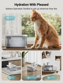 The DownyPaws | 2.5L Wireless Smart Cat Water Fountain with Motion Sensor