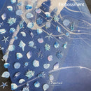 夏日海滩海洋贝壳海星蛤蜊海螺星星海泡泡海蜗牛软浮雕装饰美甲贴花