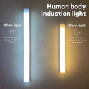 The Lumen Sentinel | Rechargeable LED Motion Sensor Light (3-Mode, Type-C)