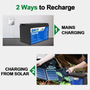 The Grid Sentinel | 12V-24V LiFePO4 Deep-Cycle Battery (100Ah-300Ah, Built-in BMS)