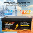 The Iron Current | 12V LiFePO4 Deep-Cycle Battery 100Ah–300Ah