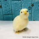 Simulation Chick Decor Plush Chicken Model Figurine Cute Oranment Realistic Furry Animal Doll Chicken Easter Gift Kids