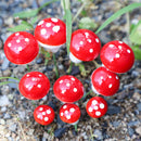 20个迷你人工树脂蘑菇微缩模型仙女花园景观苔藓玻璃容器工艺品盆栽微景观装饰