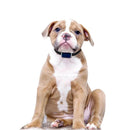 Waterproof Pet GPS Tracker System Locator CatS Dogs Puppy Adjustable Collar Real-Time Call Remote Control GPS Locator