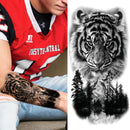 45372635250911