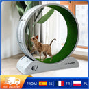 Silent Cat Running Wheel Treadmill Toy with Scratcher Board,Cat  Exercise Roller Frame,Pet Fitness Climbing Toy, 80×35×85cm Gray