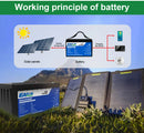 The Grid Sentinel | 12V-24V LiFePO4 Deep-Cycle Battery (100Ah-300Ah, Built-in BMS)