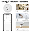 美国 墨西哥 秘鲁 WiFi 涂鸦 Zigbee 智能插座 电量监控 插座 家用电器 智能生活 兼容 Alexa 谷歌智能助手