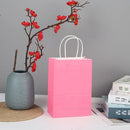 The Brown Standard | Premium Kraft Gift Bags with Handles (10-Pack)