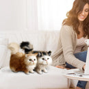 Cute Simulation Cat Plush Toys Hard Stuffed Kitten Model Fake Cat Realist Animals For Kids Girls Birthday Valentine's Day Gift