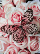 HUACAN 5d Diamond Painting New Arrivals Animal Diamond Embroidery Cross Stitch Butterfly Rhinestones Full Mosaic Home Decor