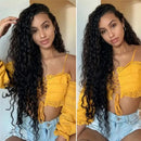 The Sable | Curly Lace Front Wig 13x4 Pre-Plucked Brazilian Remy