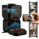The Sentinel Feeder | WiFi Smart Pet Feeder with HD Camera & Rechargeable Battery