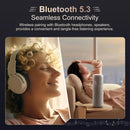 The Quiet Player | Bluetooth 5.3 Music Player with 64 GB Storage