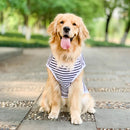 Summer Big Dog Clothing Large Dog T-shirt Welsh Corgi Samoyed Husky Labrador Golden Retriever Dobermann Dog Clothes Tee Shirt