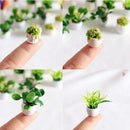 3件1:12微型植物摆件微景观家居装饰迷你盆栽花盆小装饰工艺品